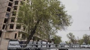 Штраф за спиленное дерево в городе