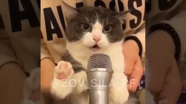 Воздушная тревога по всей территории Украины. смотреть онлайн