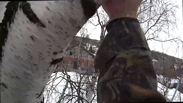 Вид на гнездо аистов снизу смотреть онлайн