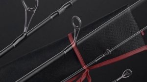 ТОП 5 - БЮДЖЕТНЫХ СПИННИНГОВ на ЩУКУ до 2500 руб. ?