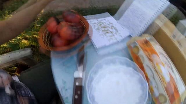 Сорт томатов: Голубая красавица . Обзор сорта. смотреть онлайн