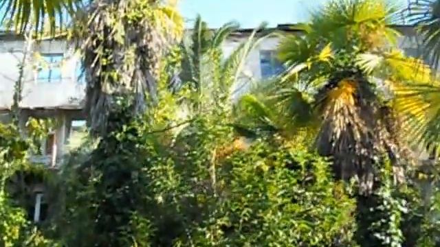 Сад Лучезарного смотреть онлайн