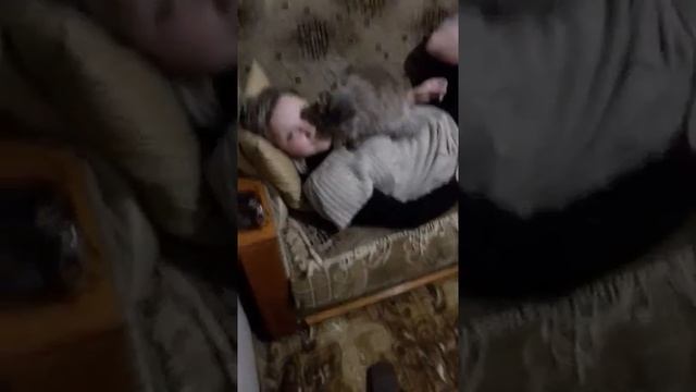 Как любят кошки смотреть онлайн