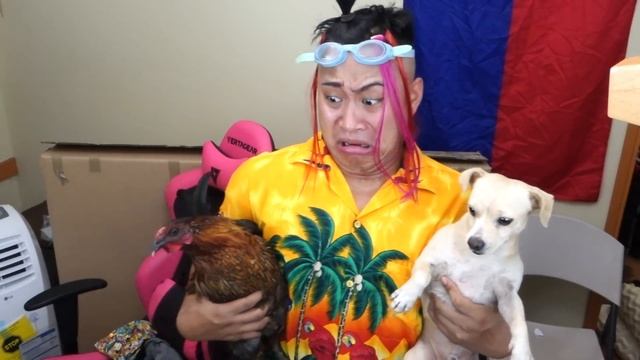 PPAP Pen Pineapple Apple Pen Parody ft My Chicken смотреть онлайн