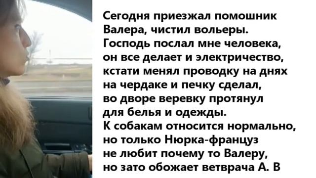 Села в такси и услышала, что громко мяукает кошка смотреть онлайн