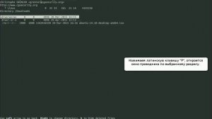 Восстановление данных с помощью testdisk