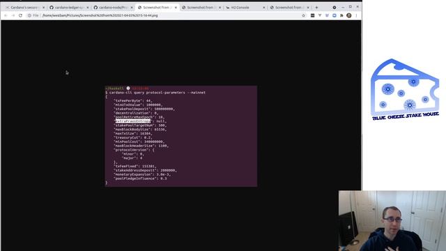 Cardano: Nerd-out with Extra Praos Entropy! смотреть онлайн