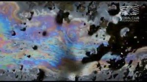 Корал Майн | Coral Mine | структурированная вода | коралловая вода
