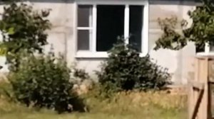 Глафировка.  Пляж. Дома на продажу.