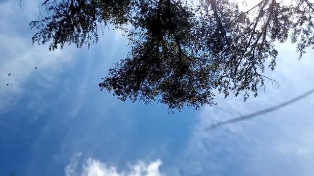 Как научиться бить как Роналдо смотреть онлайн