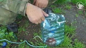 Как поймать рыбу без удочки. Ловушка для рыбы из бутылки.