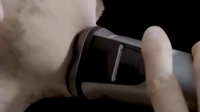 Xiaomi Enchen BlackStone Electric Shaver смотреть онлайн