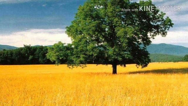 Он Воскрес! Детский христианский стих смотреть онлайн