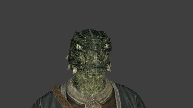 [Source / SFM] Skyrim Argonian Rebuilt Face Flexes смотреть онлайн