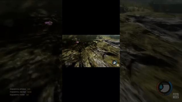 The Forest и дикий эксперимент. Полное видео на канале👇 смотреть онлайн