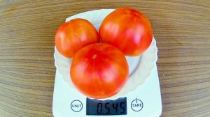 Hillbilly. Томат - Деревенский