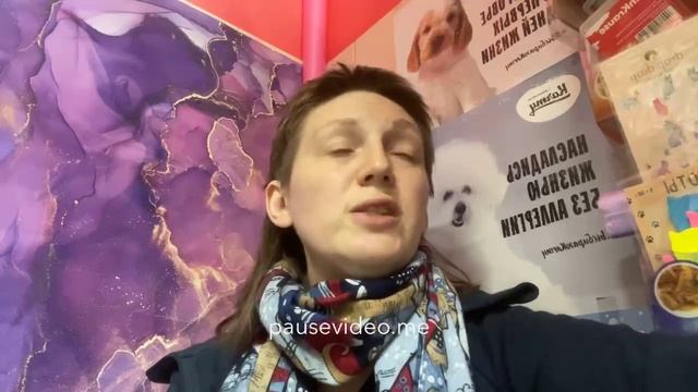 Обзор на Doctrine. Кошки Доктрин.