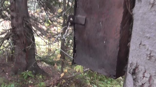 охотничье-рыбацкие прогулки смотреть онлайн