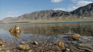 Роза Аманова - Жандай коргон адамым