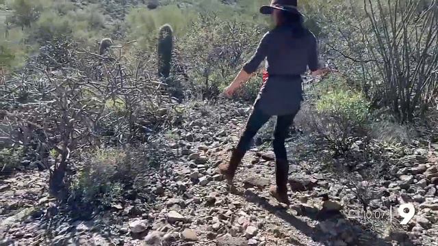 "We can't do this alone": Environmental advocates kick off Save Our Saguaros month смотреть онлайн