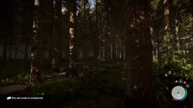 Into the Thick of it... | Sons Of The Forest | Episode 1 смотреть онлайн