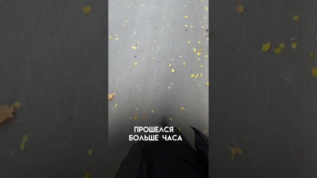 #крипта #криптовалюта #лайфхаки #торговля #трейдинг #заработок #crypto #бинанс #binance