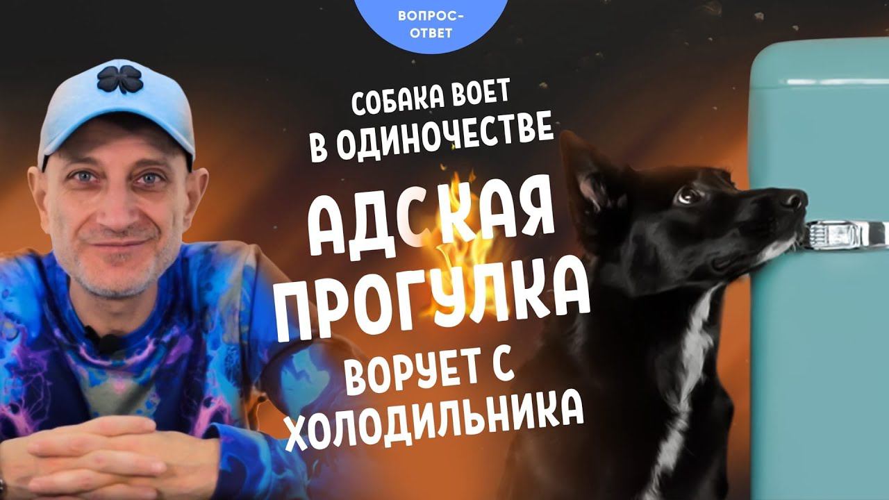 Воет в одиночестве, адская прогулка, ворует с холодильника смотреть онлайн