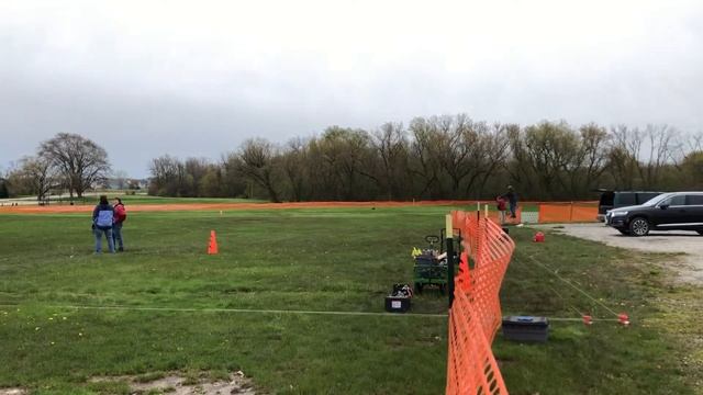 Java - Field Spaniel - 2nd Q in Coursing смотреть онлайн