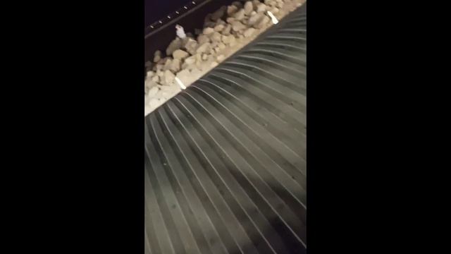 около моря... смотреть онлайн