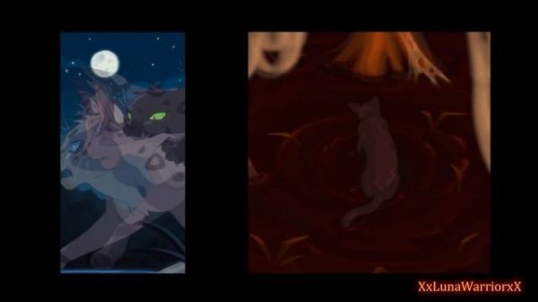 The Angry River: A Dark Forest Warrior Cats MAP COMPLETE