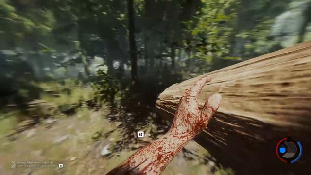 The Forest - Как Заземлить Ласточку? смотреть онлайн