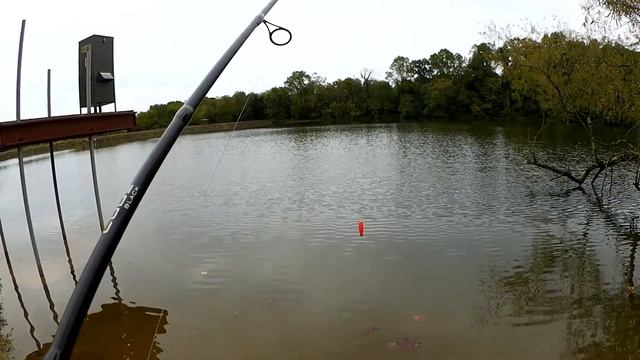 Strike King Bitsy Minnow VS Gulp Alive Minnow - Fishing With Minnows! смотреть онлайн