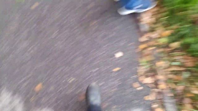 пожар в Архангельске 28.10.2021 смотреть онлайн