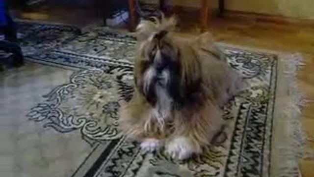 Лексус смотреть онлайн