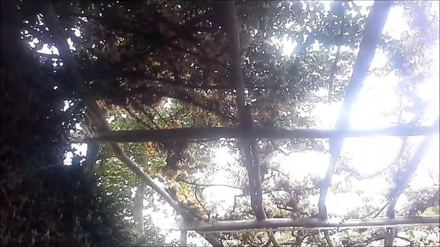 г.Позитано.Амальфитанское побережье.ИТАЛИЯ.22 сентября 2019г смотреть онлайн