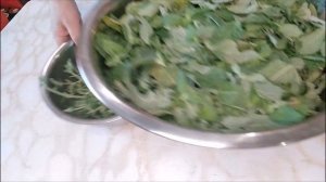 ВАРЕНЬЕ из МЯТЫ! Ароматная и полезная МЯТА!