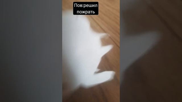 решил пожрунькать??? #врек #врекомендации #шортс #бебра #бебрик #roblox #шортс #роблокс #кет #комп смотреть онлайн