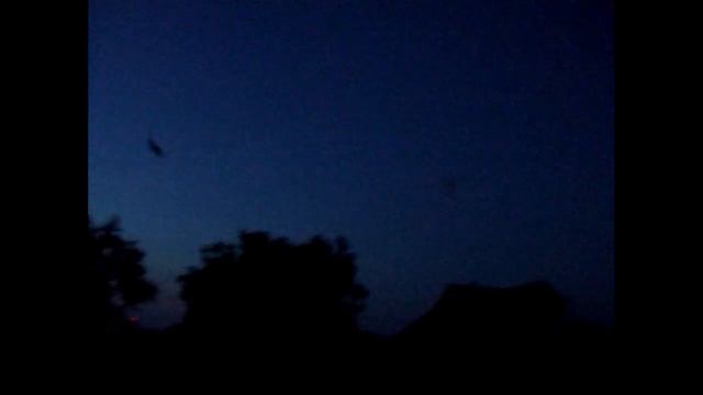 Летучие мыши в деревне | Bats in the countryside смотреть онлайн