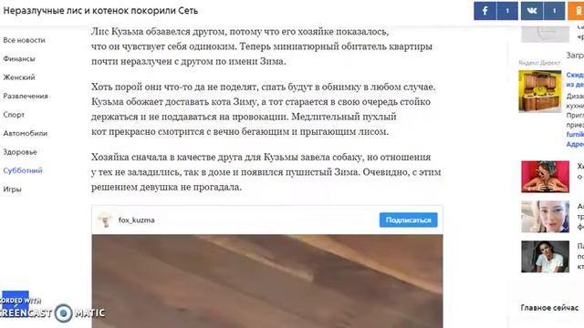 Неразлучные лис и котенок покорили Сеть смотреть онлайн