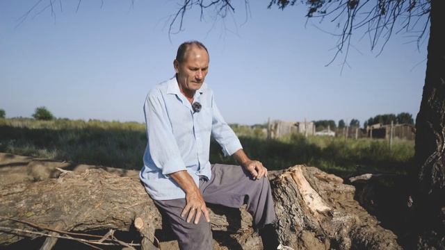 МРАМОРНОЕ МЯСО. КОРМЛЕНИЕ СВИНЕЙ И ПОРОСЯТ. СВИНИНА. ЛПХ. КФХ. ФЕРМА. смотреть онлайн