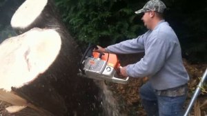 Stihl Ms 880