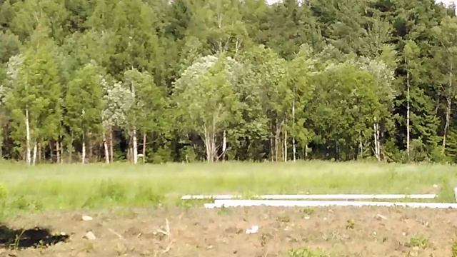 VID_20240621_150021.mp4