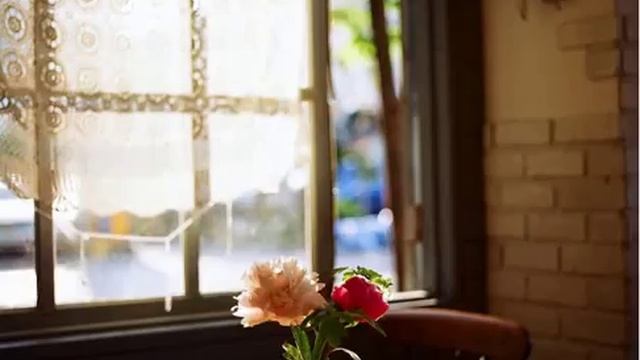 Медитация рода смотреть онлайн