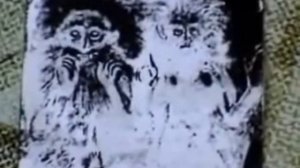 Что произошло с Афонскими монахами, после отслуженной литургии с католиками