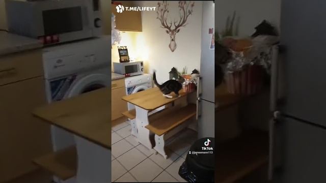 Когда понял, что больше нечего терять смотреть онлайн