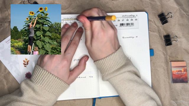 Недельные развороты на АВГУСТ 🌻 | Оформление ежедневника | Bullet Journal | буллет джорнал 2022