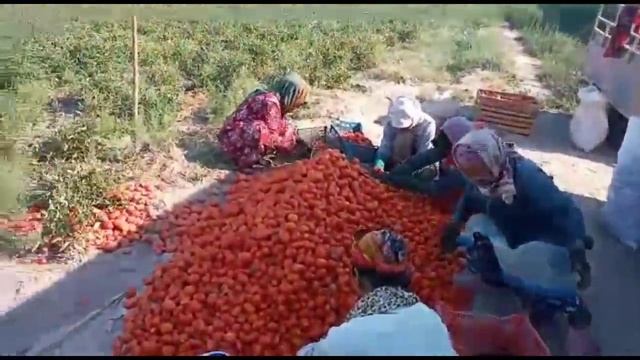 Строительная Лаборатория