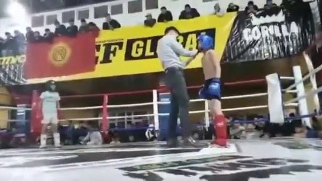 WEF Бишкек 2020 год . Амирхан 40 кг 2008 года рождения. ЧЕМПИОН !!! ? смотреть онлайн