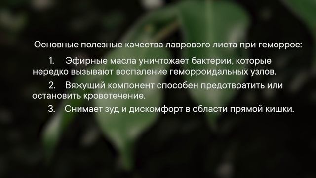 ЛИСТЬЯ ЖИЗНИ! Дым 2 ЛИСТКОВ ЛАВРА и организм как Новый. Врачи в шоке! смотреть онлайн