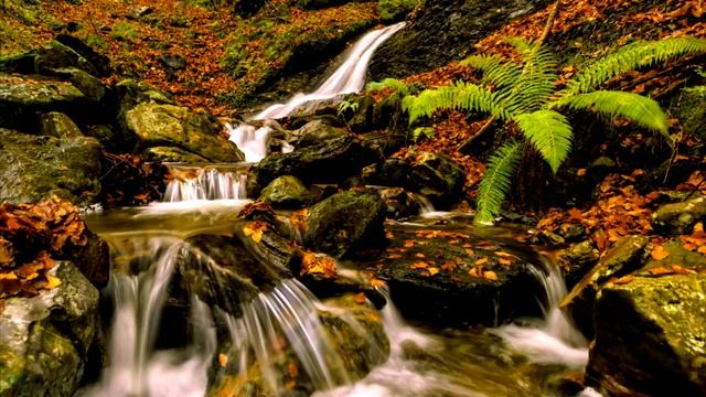 “Сверхъестественный разум“ Джо Диспенза Медитация “Квантовая реальность“ смотреть онлайн